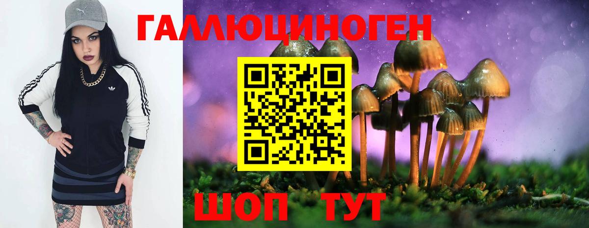 даркнет сайт  Псилоцибиновые грибы мицелий  Вход с VPN  Шуя 