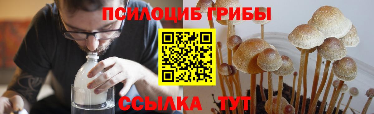Псилоцибиновые грибы MAGIC MUSHROOMS Шуя